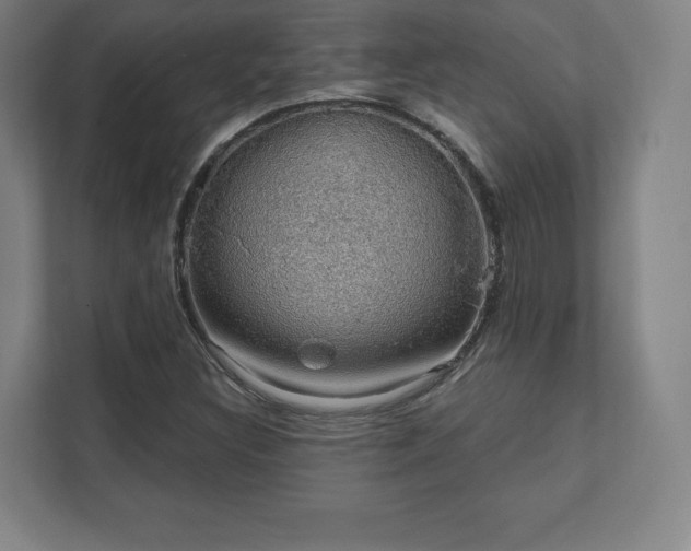X0000111581308200907231227