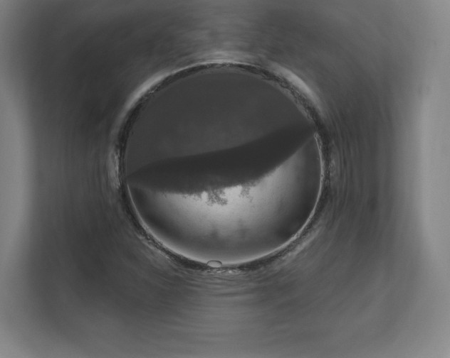 X0000111581310200907231227