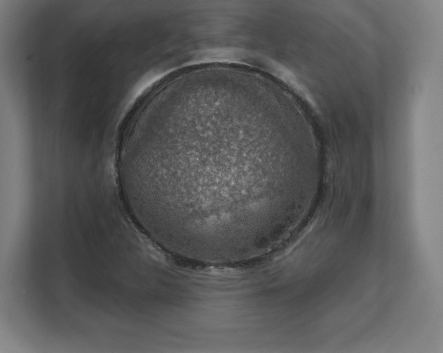 X0000111581312200907231227