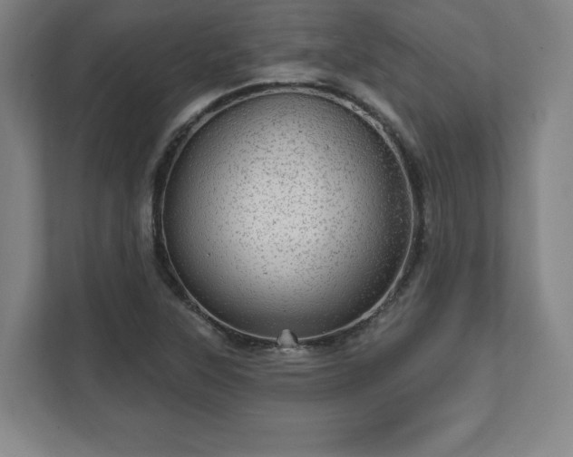 X0000111581315200907231227