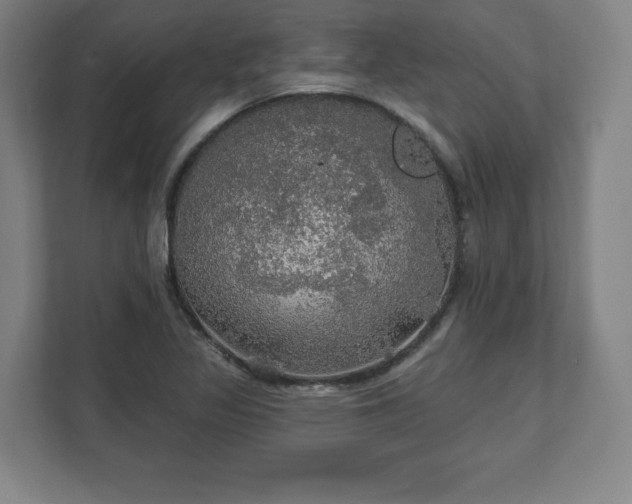 X0000111581317200907231227