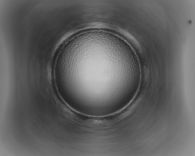 X0000111581318200907231227
