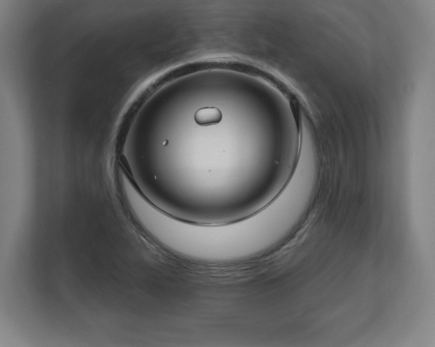 X0000111581319200907231227