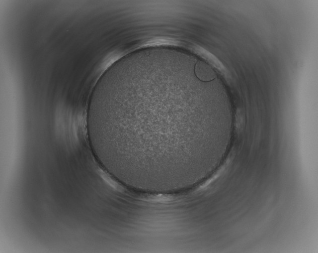 X0000111581321200907231227