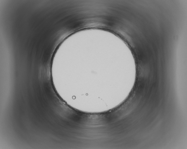 X0000111581322200907231227