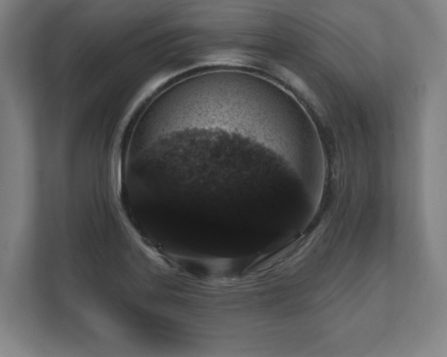 X0000111581323200907231227