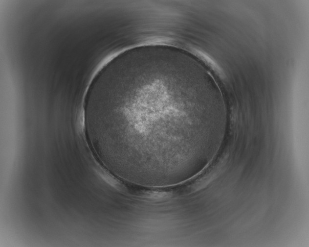 X0000111581324200907231227