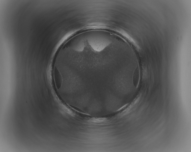 X0000111581325200907231227
