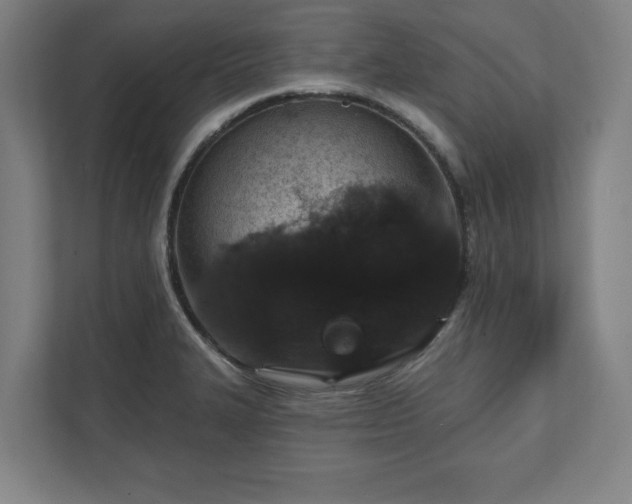 X0000111581327200907231227