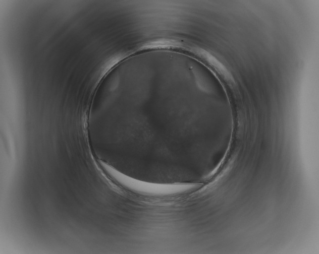 X0000111581329200907231227