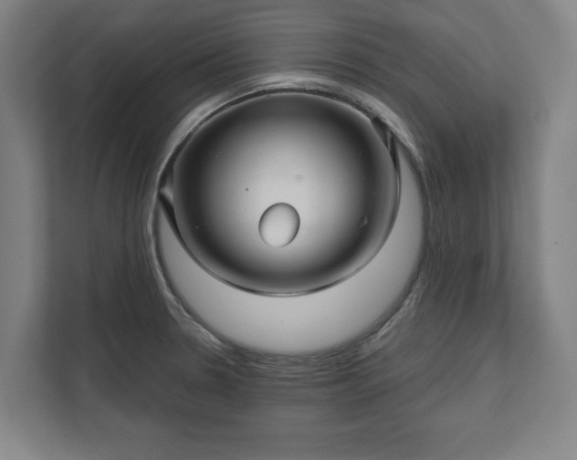 X0000111581330200907231227