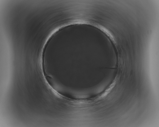 X0000111581334200907231227