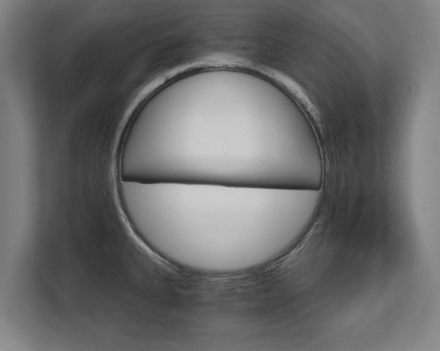 X0000111581335200907231228