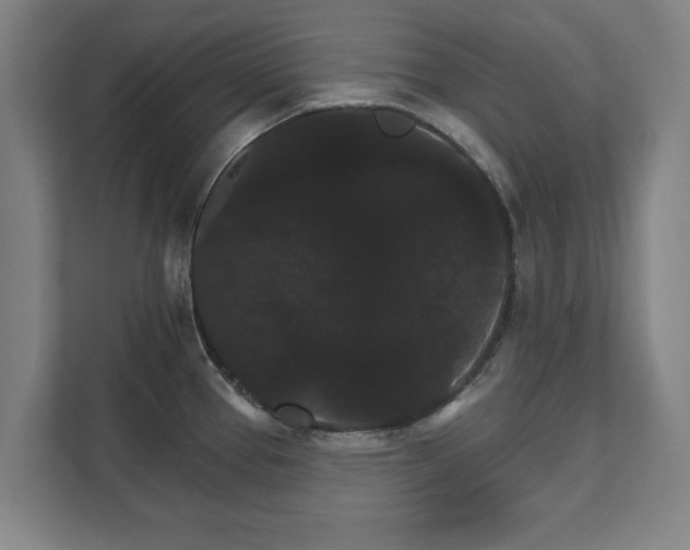 X0000111581337200907231228