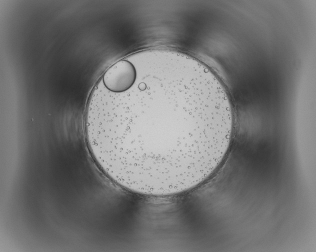 X0000111581338200907231228
