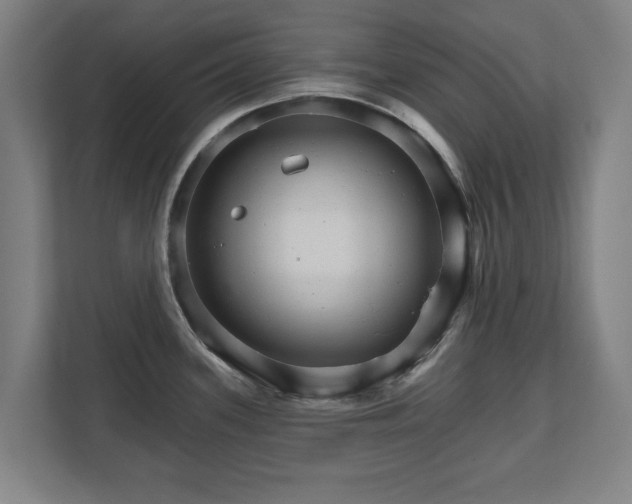 X0000111581339200907231228
