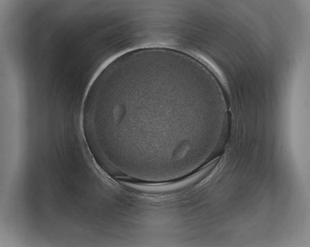 X0000111581340200907231228
