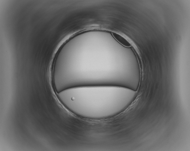 X0000111581341200907231228