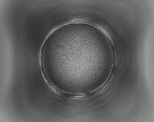 X0000111581342200907231228