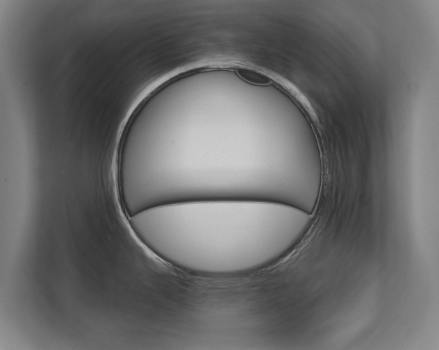X0000111581343200907231228