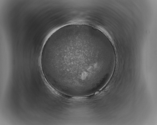X0000111581344200907231228