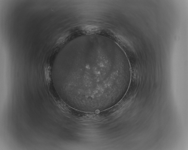 X0000111581346200907231227