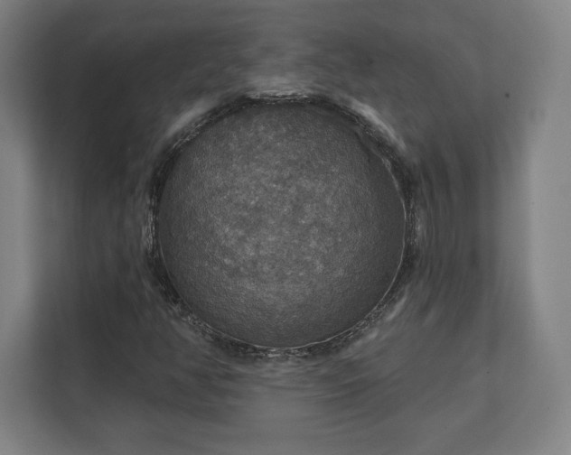 X0000111581350200907231227