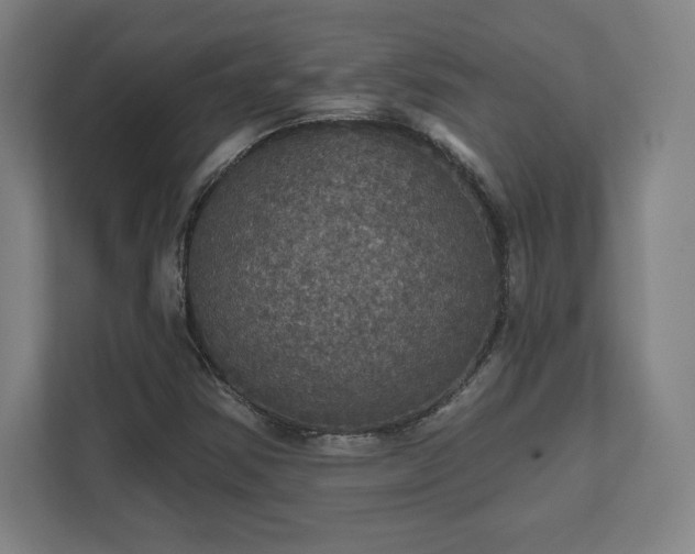 X0000111581354200907231227