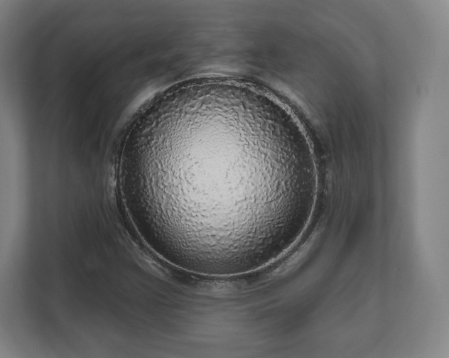 X0000111581355200907231227