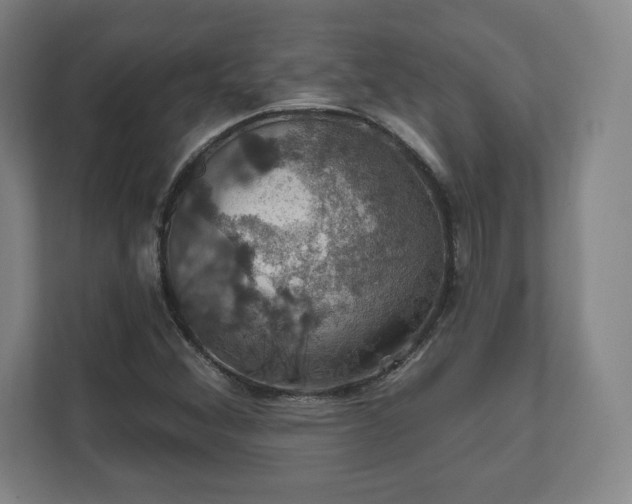 X0000111581356200907231227