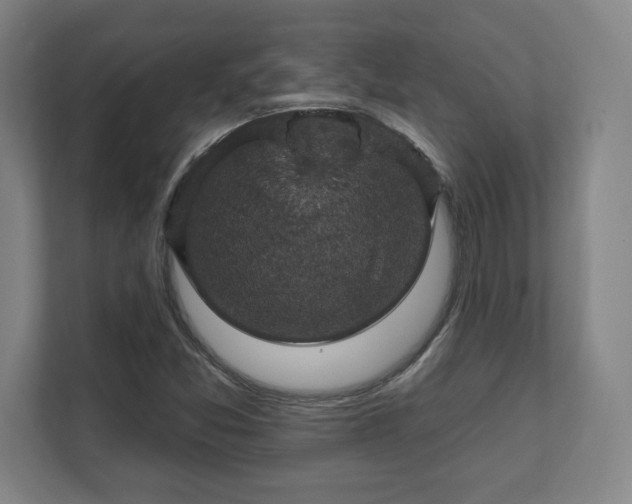 X0000111581357200907231227