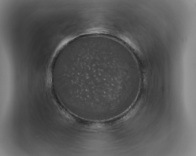 X0000111581358200907231227