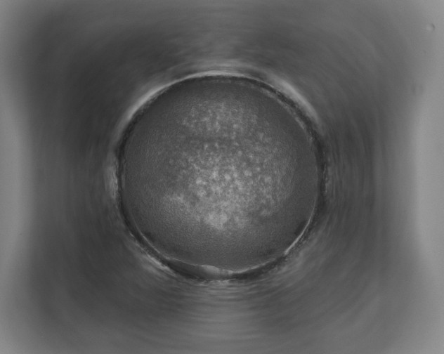 X0000111581360200907231227