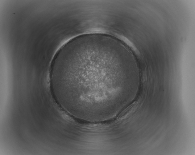 X0000111581364200907231227