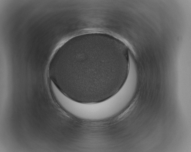 X0000111581365200907231227