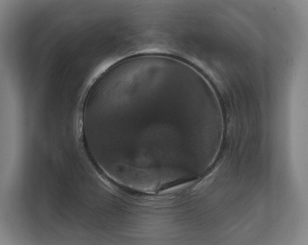 X0000111581367200907231227