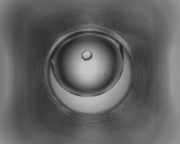 X0000111581368200907231227