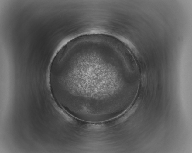 X0000111581374200907231227