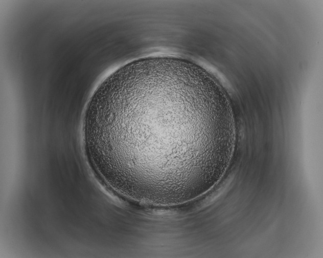 X0000111581375200907231227