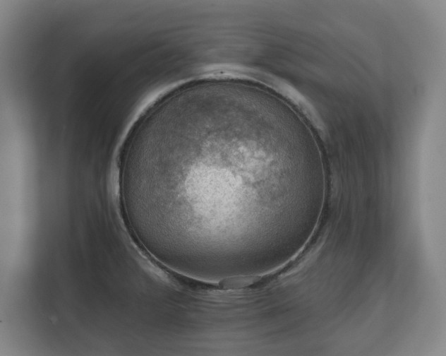X0000111581376200907231227