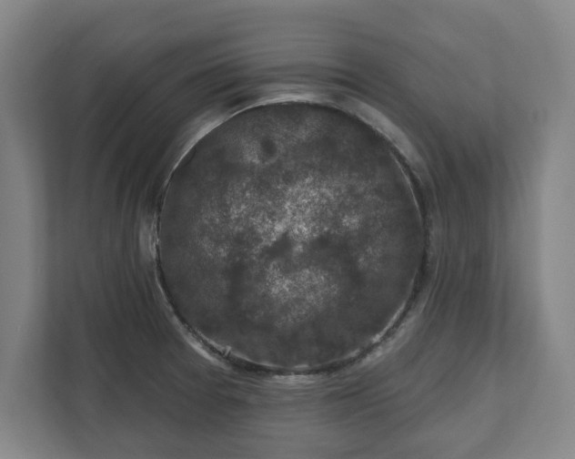 X0000111581377200907231227