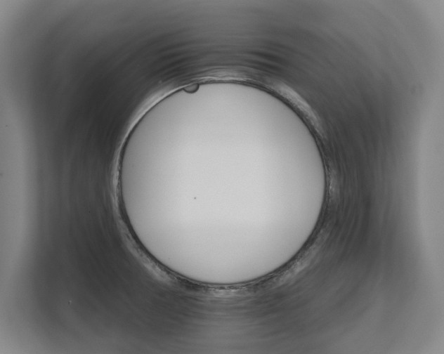 X0000111581378200907231227
