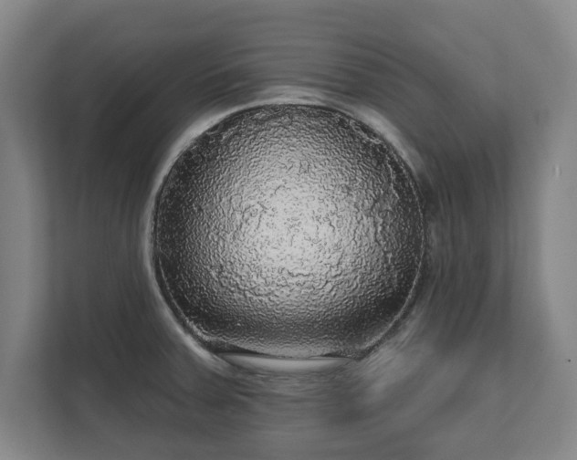 X0000111581379200907231227