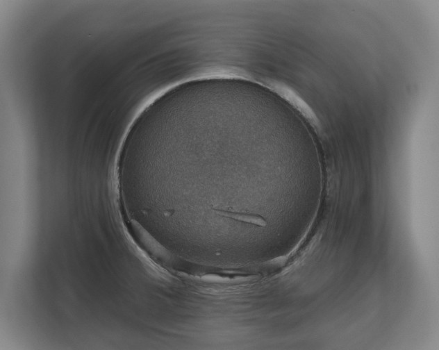 X0000111581380200907231227