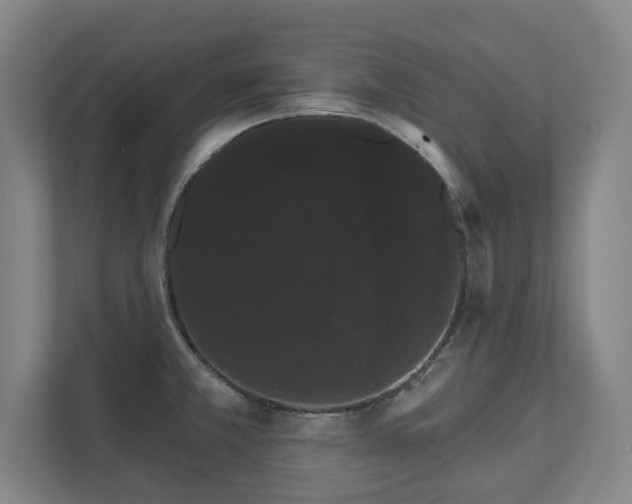 X0000111581381200907231227