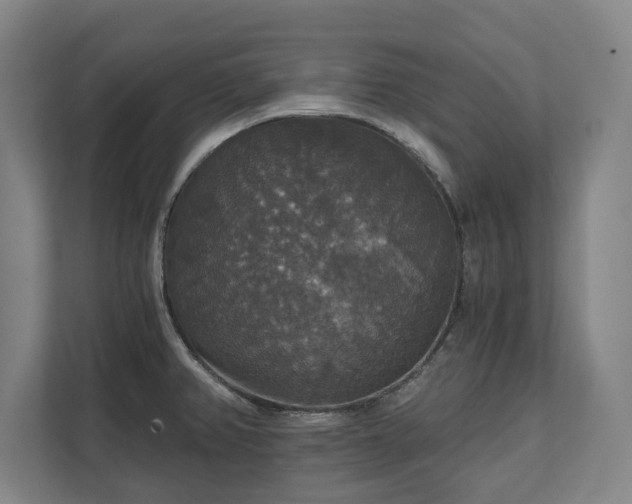 X0000111581382200907231227