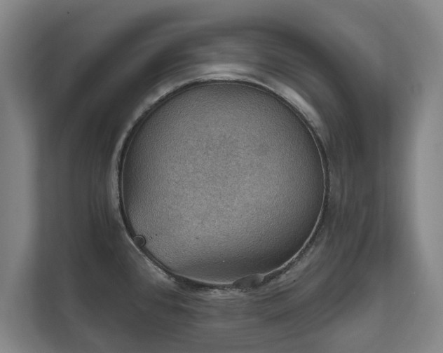X0000111581384200907231226