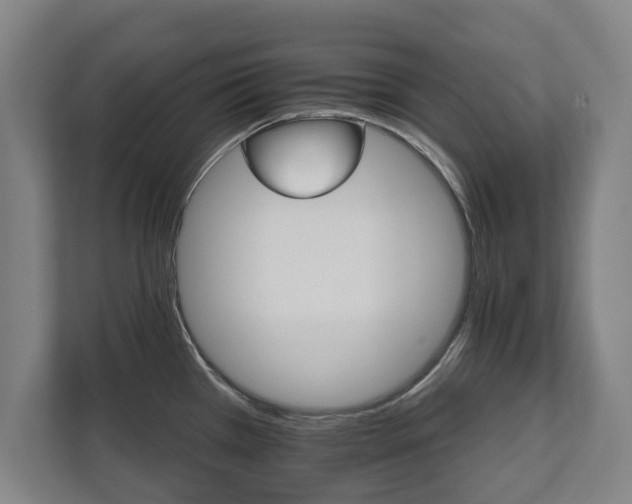 X0000111581385200907231226