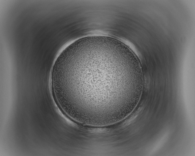 X0000111581387200907231226