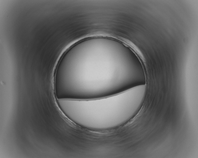 X0000111581388200907231226
